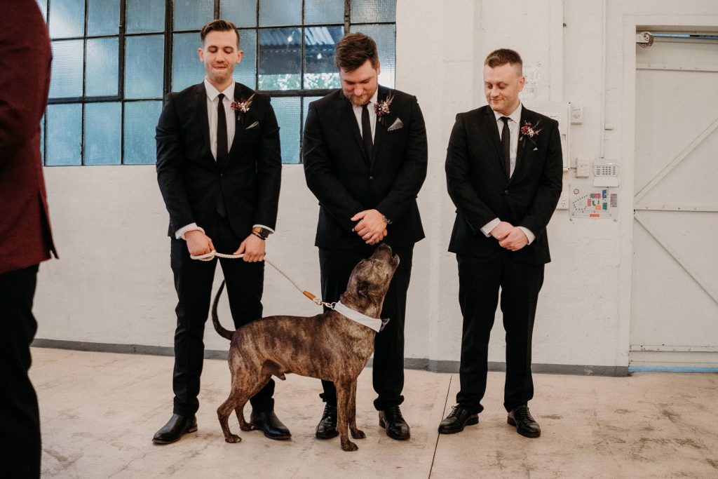 Perth_City_Farm_Wedding
